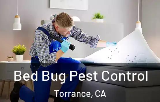  Bed Bug Pest Control Torrance, CA