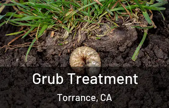  Grub Treatment Torrance, CA