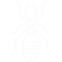 Carpenter Ants Pest Control Torrance, CA