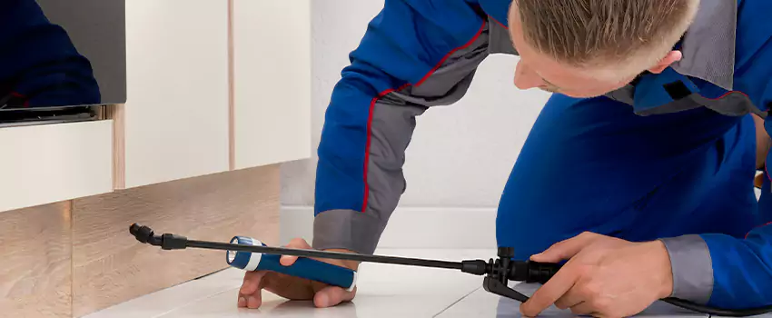 Commercial Pest Control for Offices in Torrance, CA