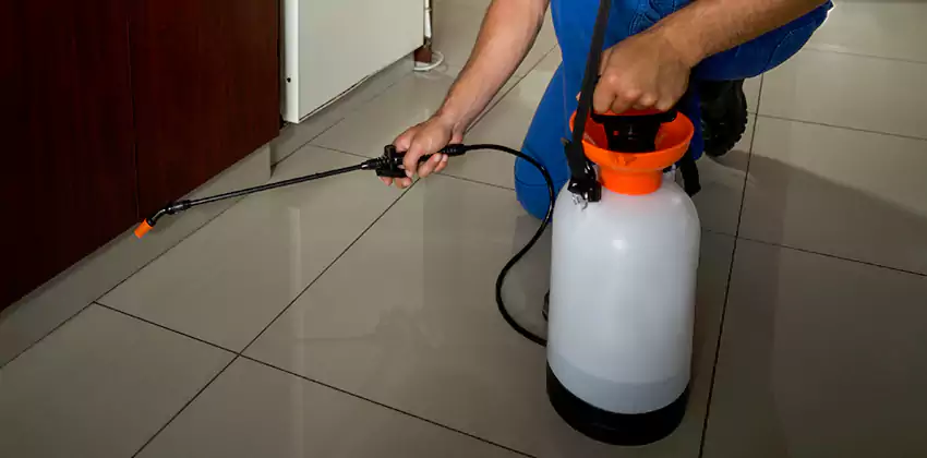 Commercial Pest Extermination for Offices in Torrance, CA