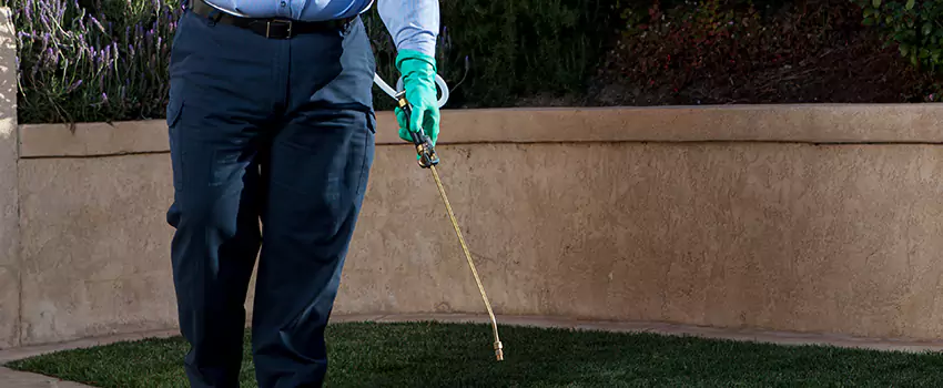 Emergency Pest Extermination for Children and Pets Torrance, CA