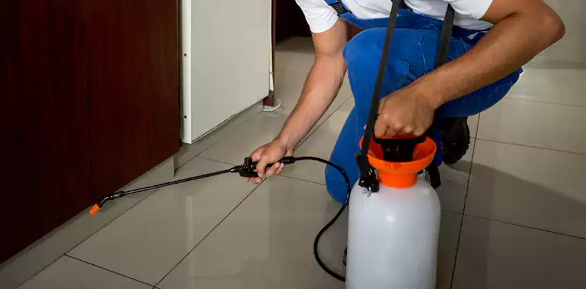 Commercial Flea Exterminator Company in Torrance, CA