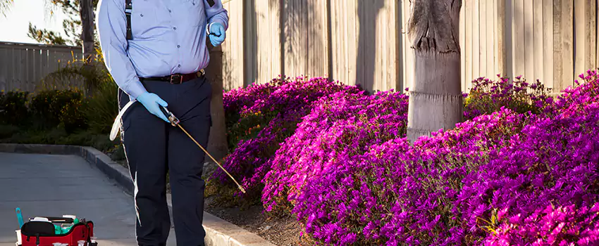 Commercial Mosquito Control Services in Torrance, CA
