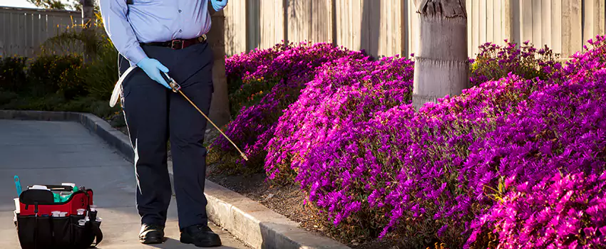 Pest Extermination for Bedrooms in Torrance, CA