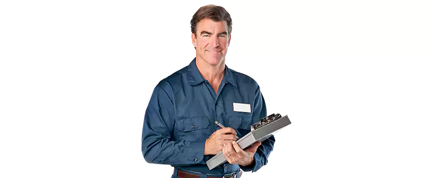 Wasp Control for Bedrooms Torrance, CA