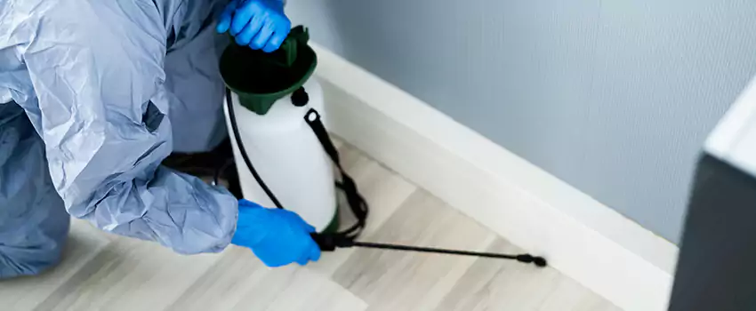 cockroach-exterminator in Torrance, CA