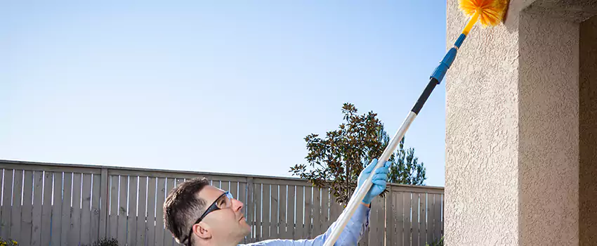 spider-exterminator in Torrance, CA