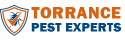 Torrance Pest Experts