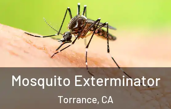  Mosquito Exterminator Torrance, CA