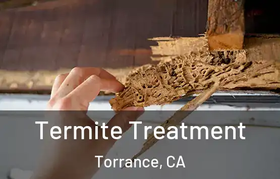  Termite Treatment Torrance, CA