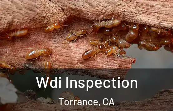  Wdi Inspection Torrance, CA